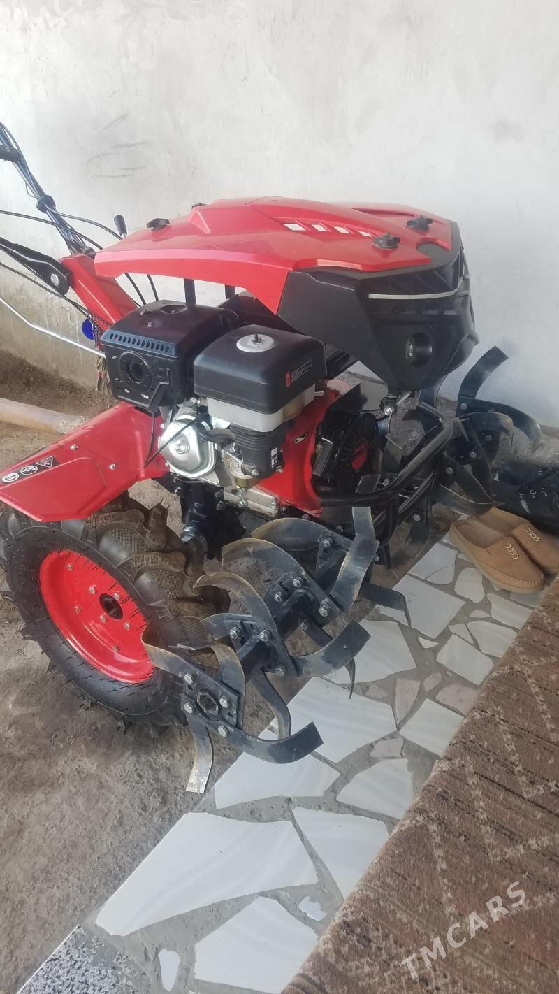 Yer suryan trahtir - Чарджоу - img 4