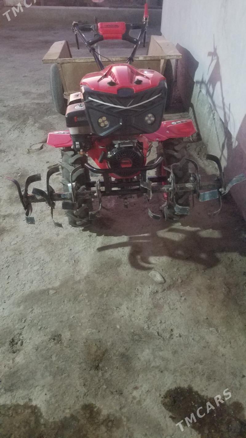 Yer suryan trahtir - Чарджоу - img 8