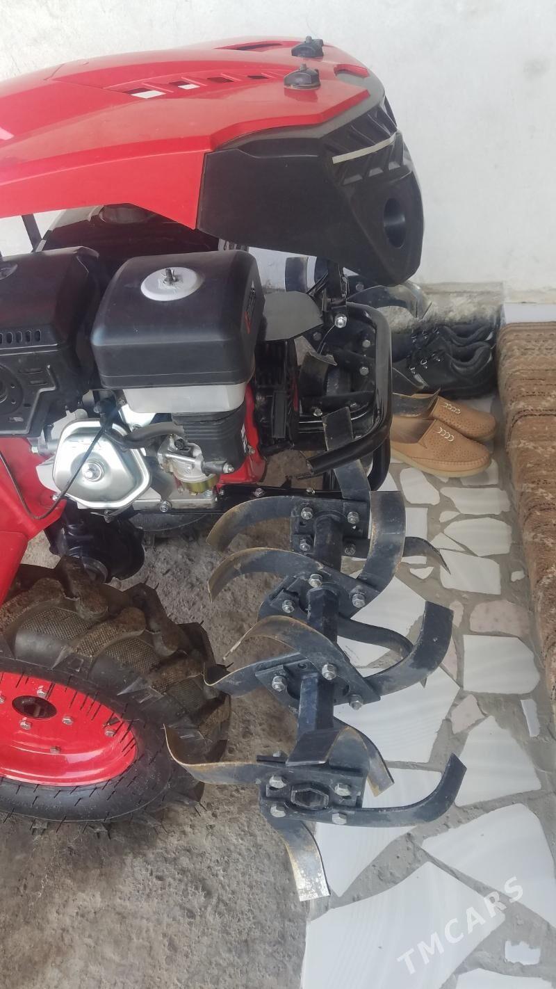 Yer suryan trahtir - Чарджоу - img 5