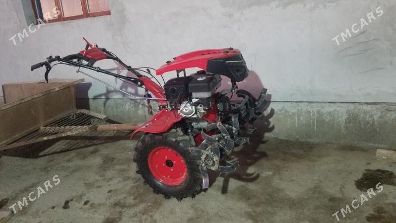 Yer suryan trahtir - Чарджоу - img 10