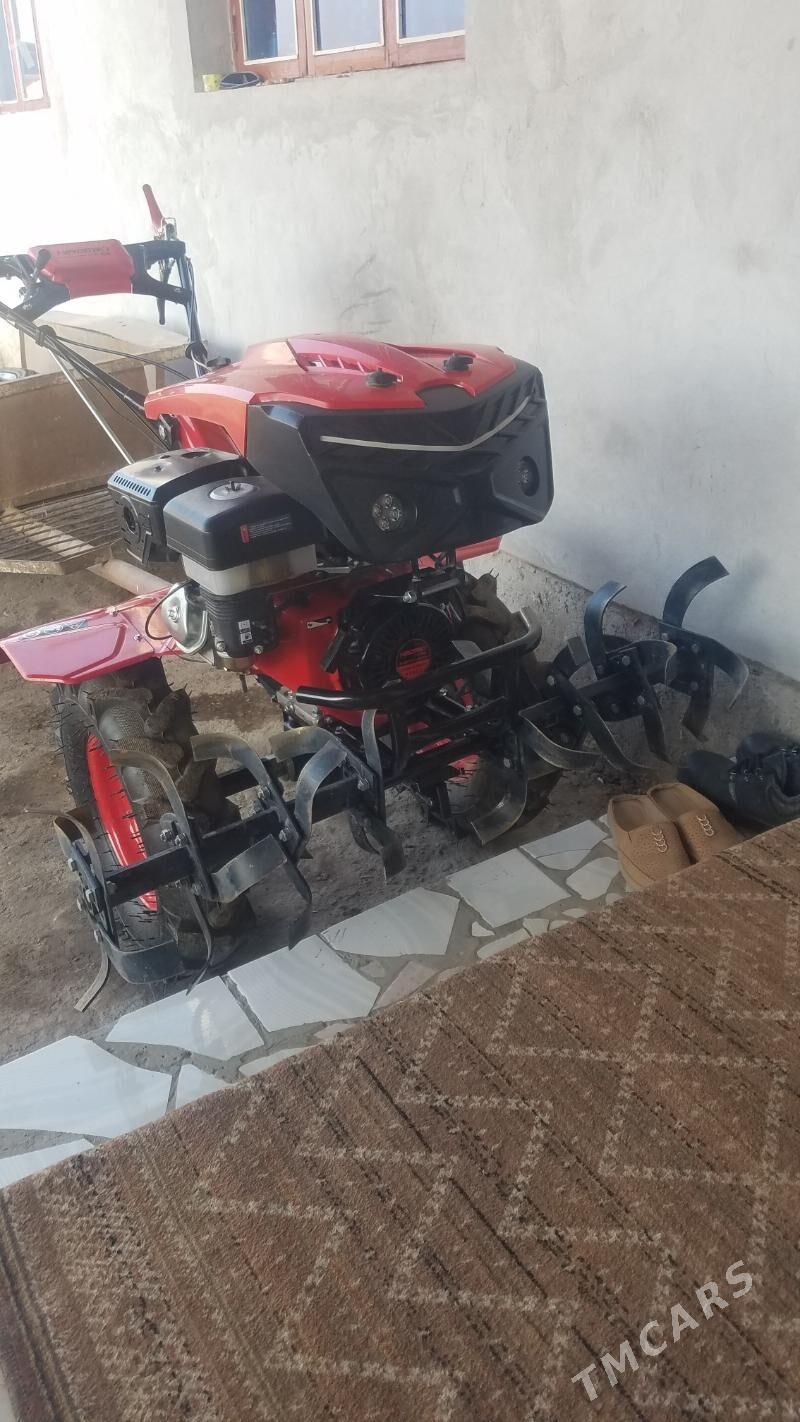 Yer suryan trahtir - Чарджоу - img 3