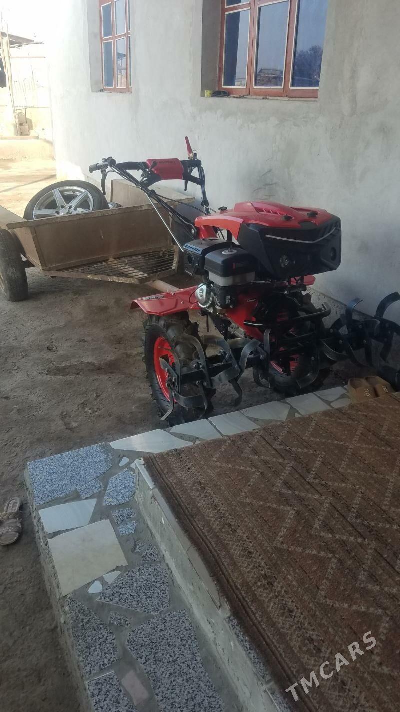 Yer suryan trahtir - Чарджоу - img 6