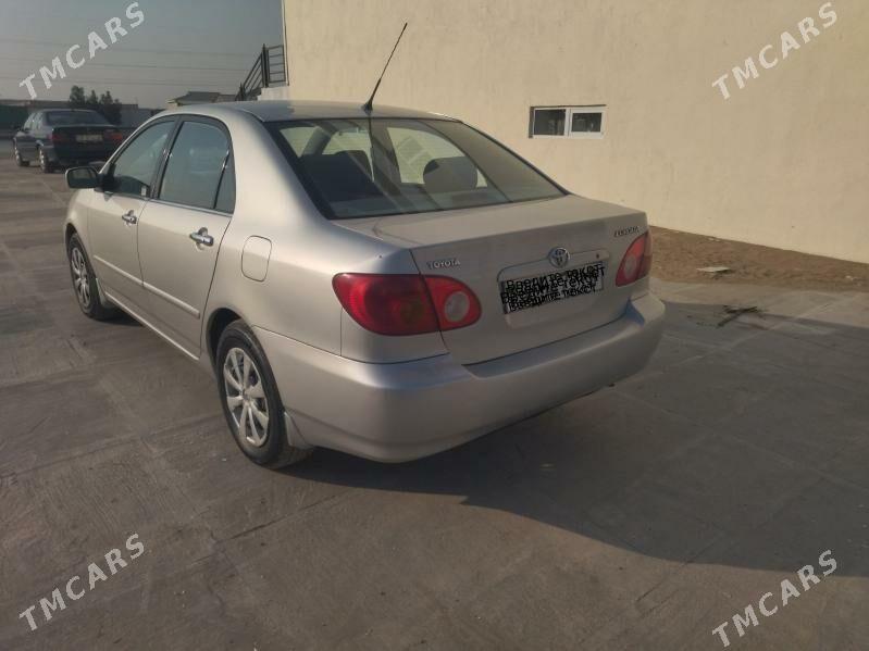 Toyota Corolla 2002 - 116 000 TMT - Türkmenabat - img 2