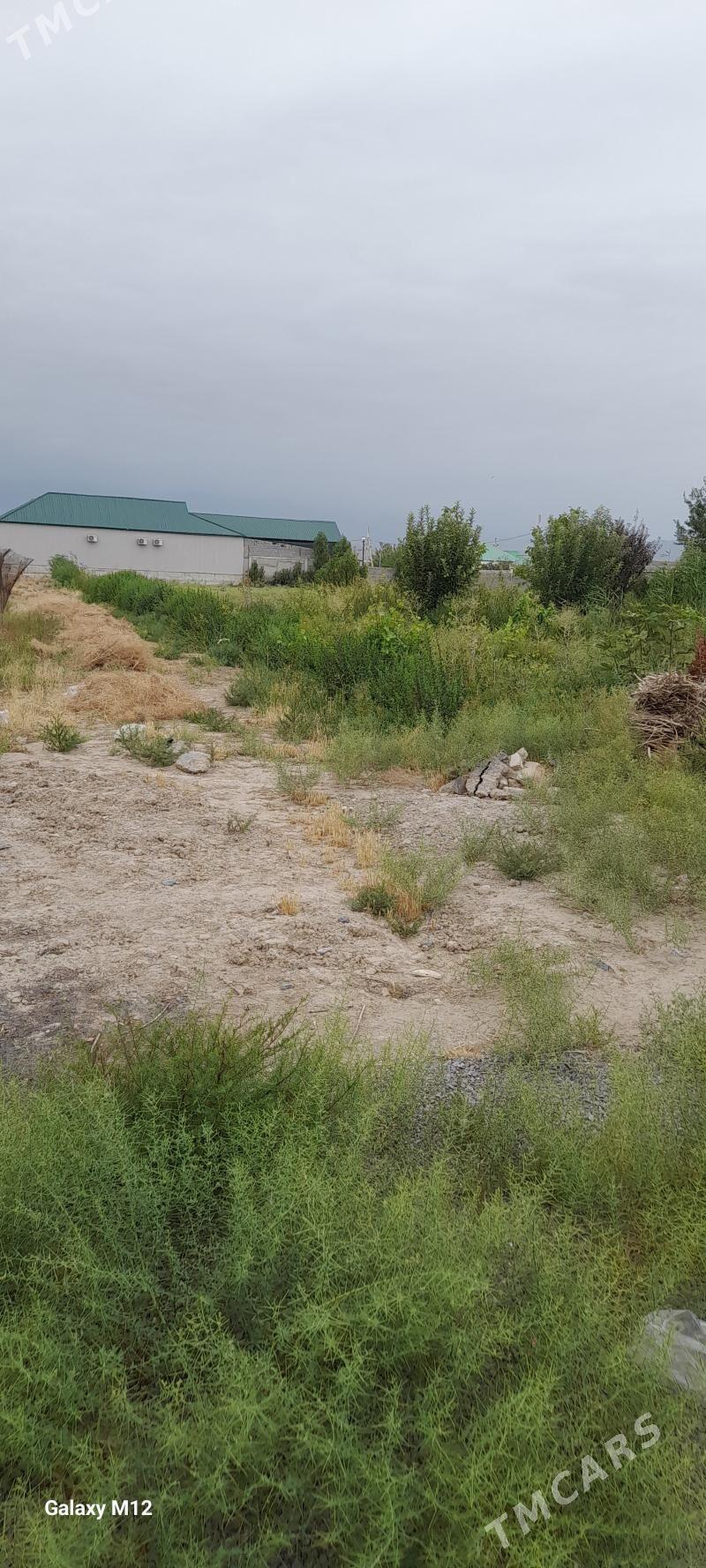 Jay mellek yer 25 sotak - Гуртли - img 2