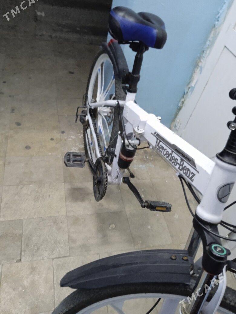 Tigir - 8 mkr - img 2