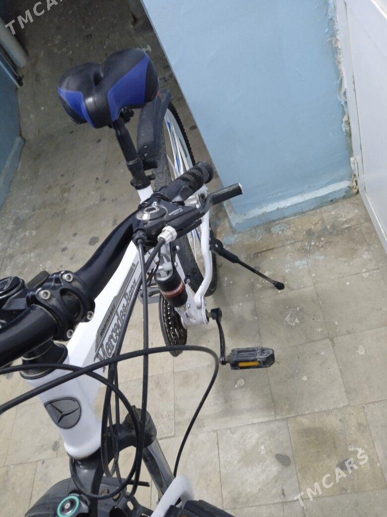 Tigir - 8 mkr - img 3