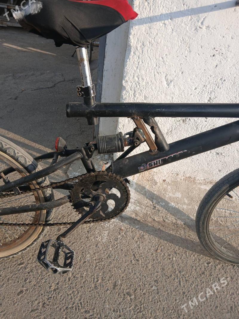 tigir - Änew - img 2