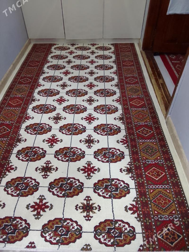 haly - Aşgabat - img 1