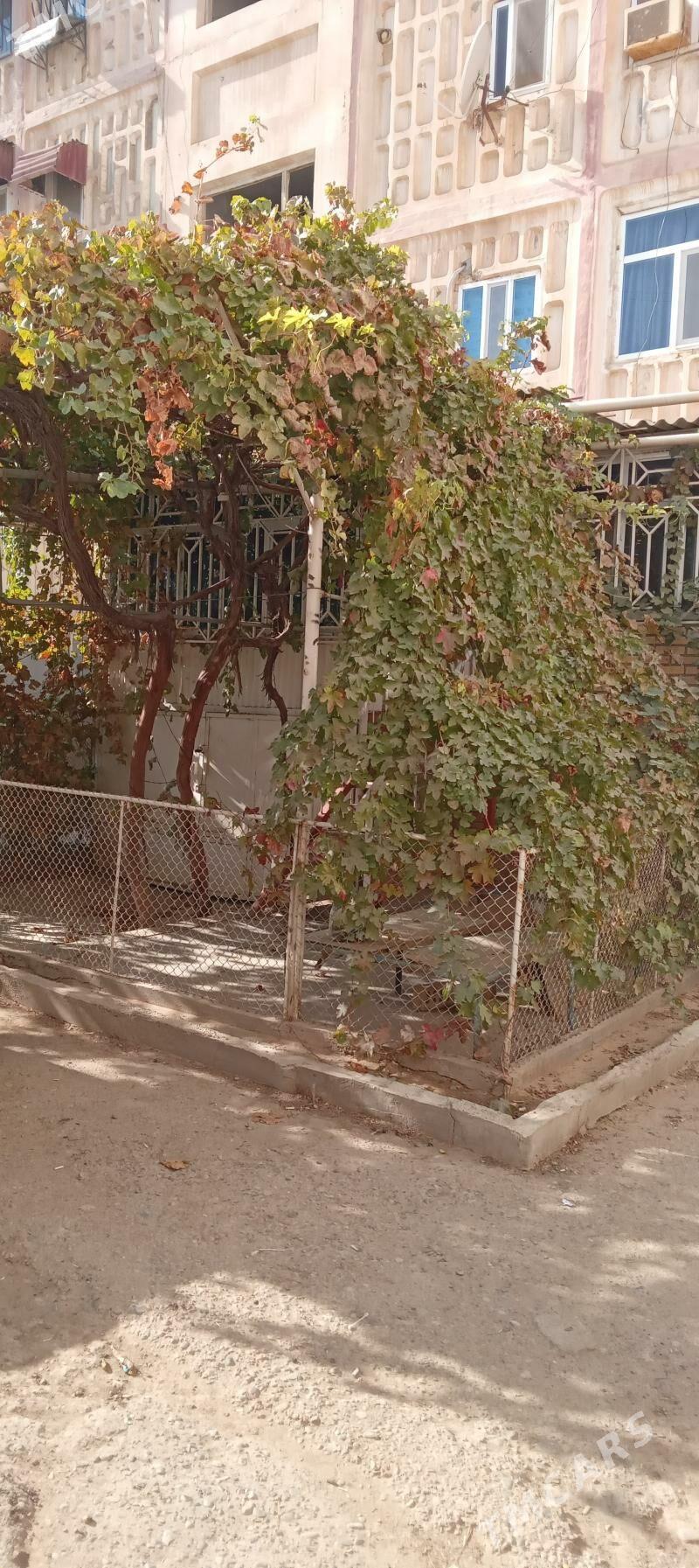 satlyk jaý - Mary - img 10