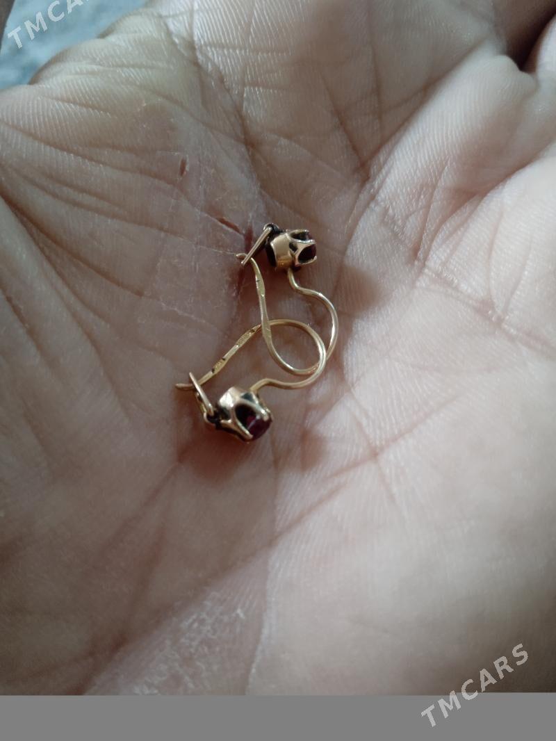 чага гулакалка - Mary - img 2