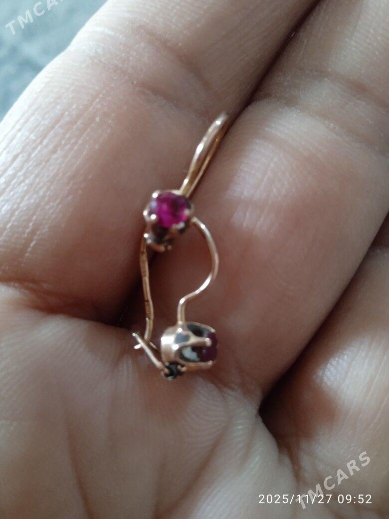 чага гулакалка - Mary - img 4