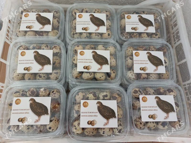 Bedene ýumurtgasy - Bäherden - img 1