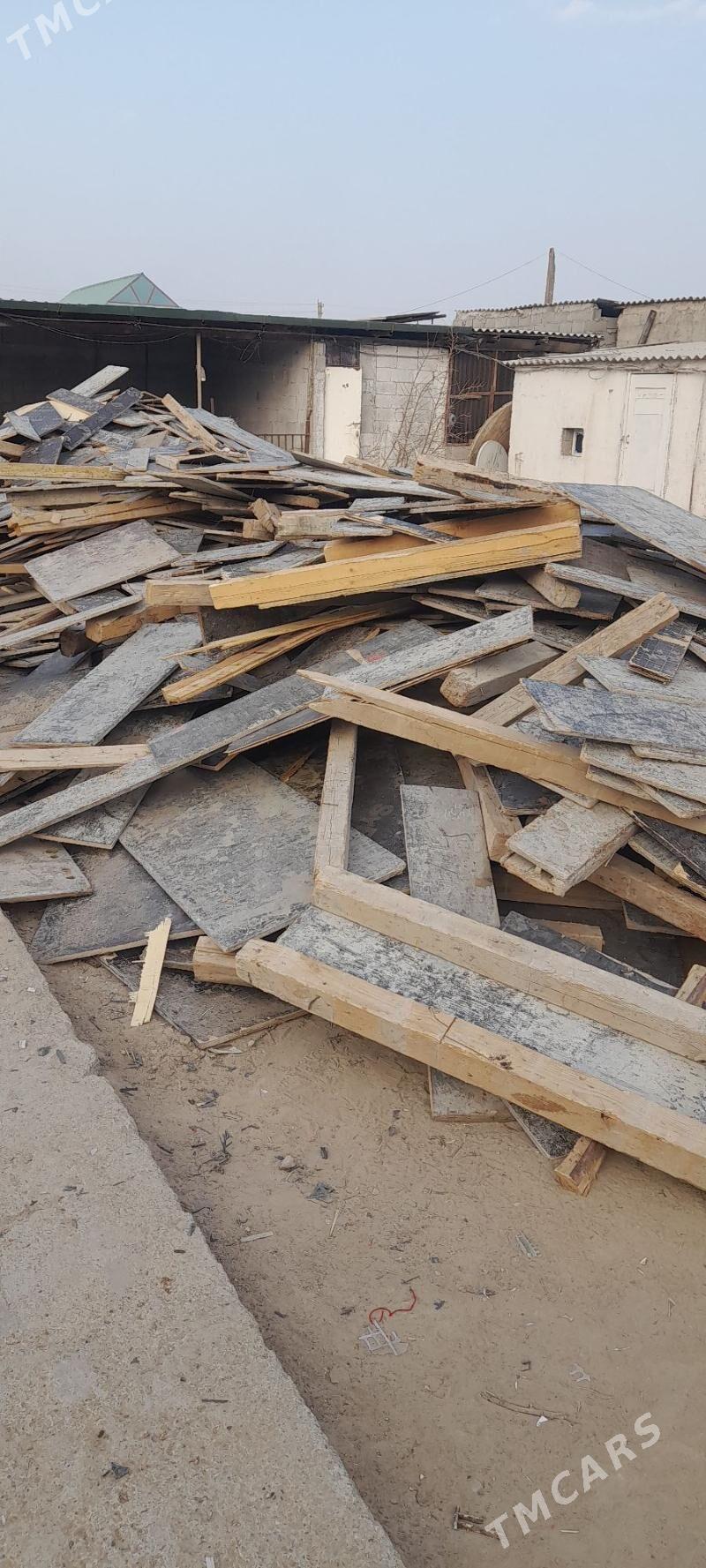 agaç pilumut - Änew - img 2