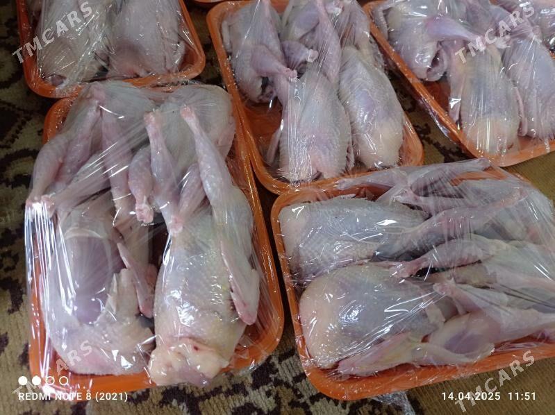 Bedene ýumurtgasy - Bäherden - img 3