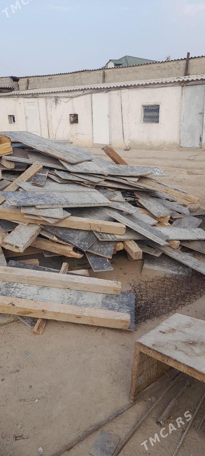 agaç pilumut - Änew - img 4