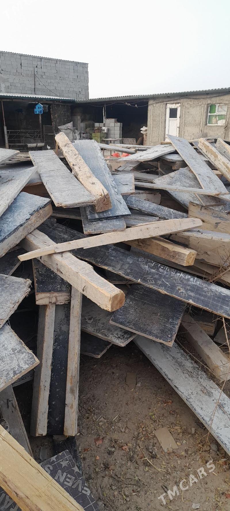 agaç pilumut - Änew - img 3