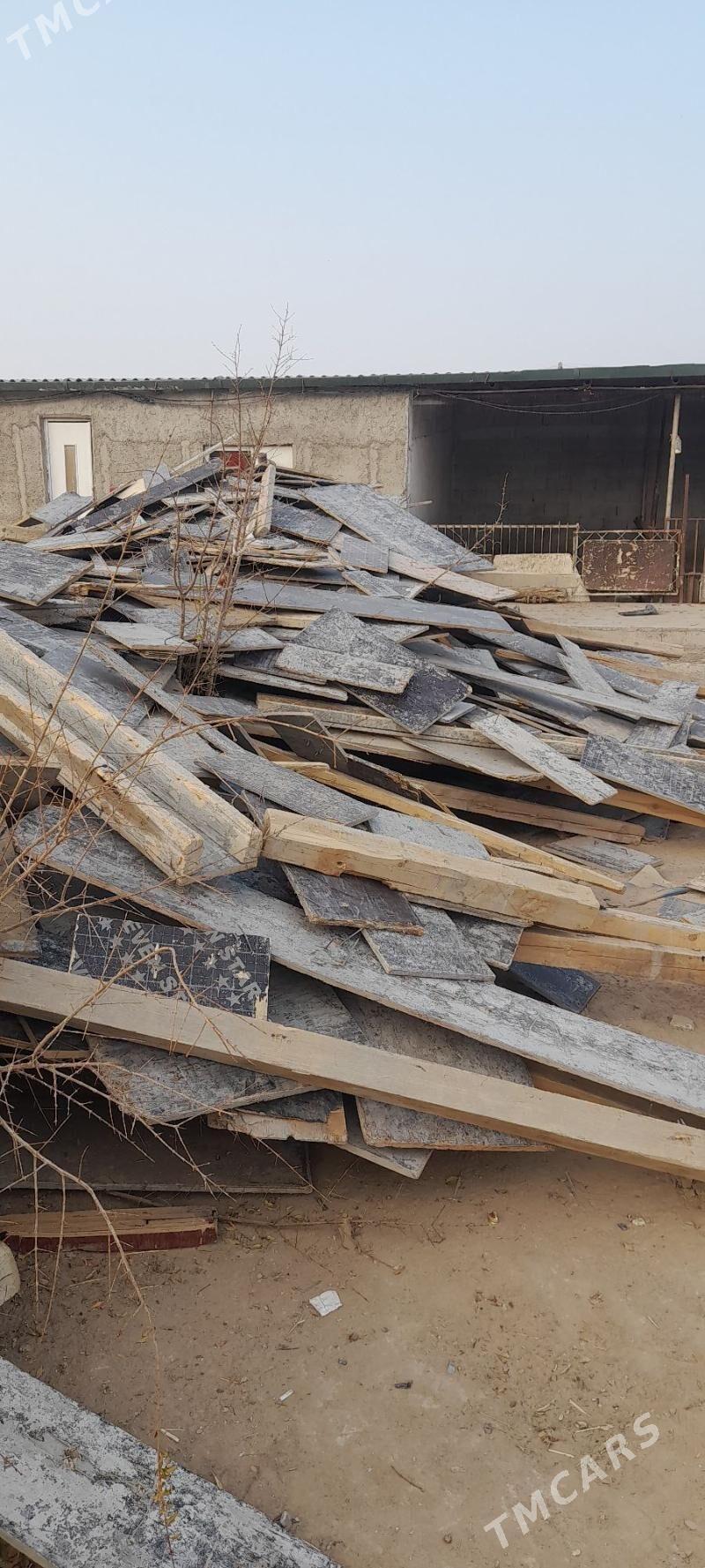 agaç pilumut - Änew - img 5