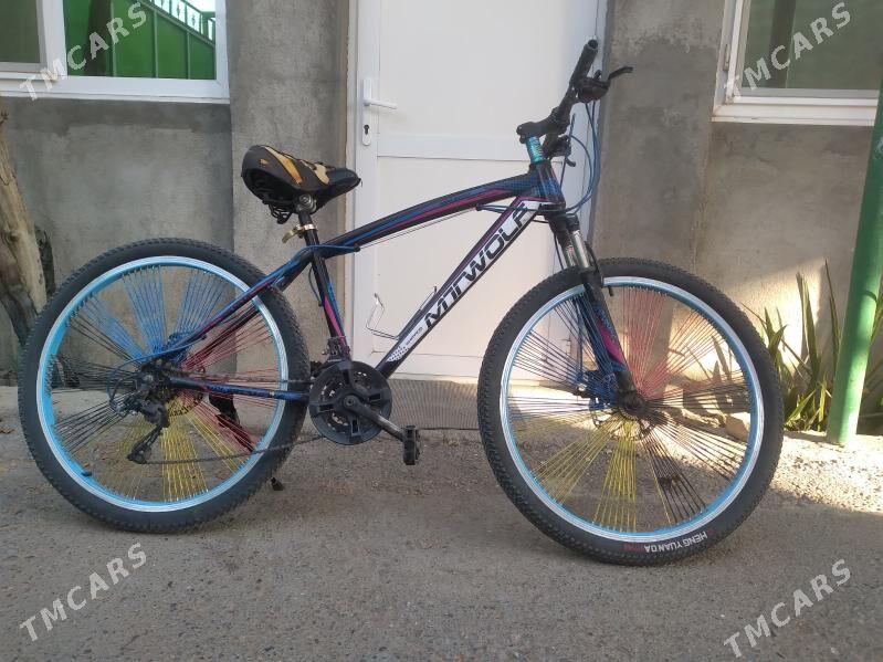 tigir zapcas gyssagly 26lyk - Bedew - img 2