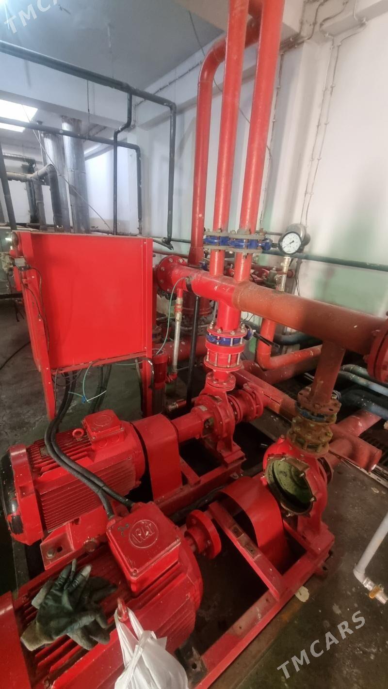 turba swarkadan bashy chykyan - Ашхабад - img 3