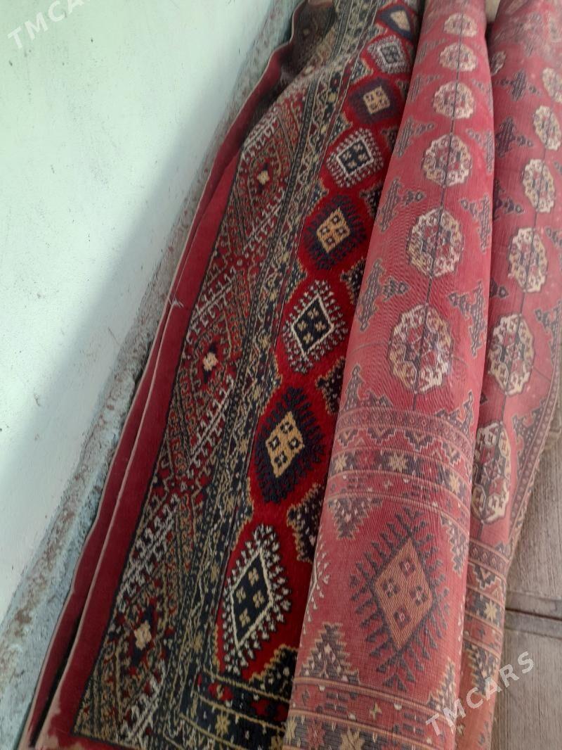 Haly - Büzmeýin - img 2