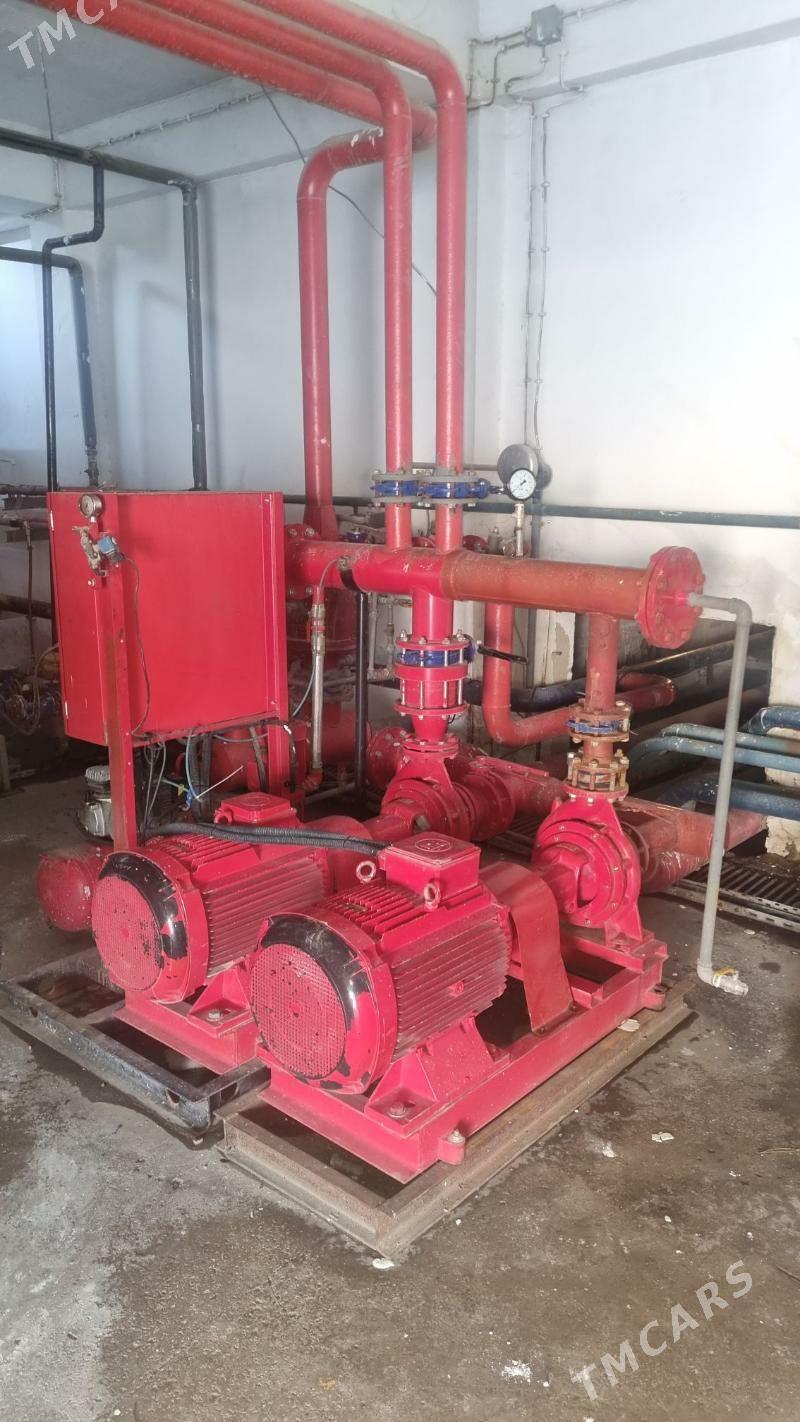 turba swarkadan bashy chykyan - Ашхабад - img 1