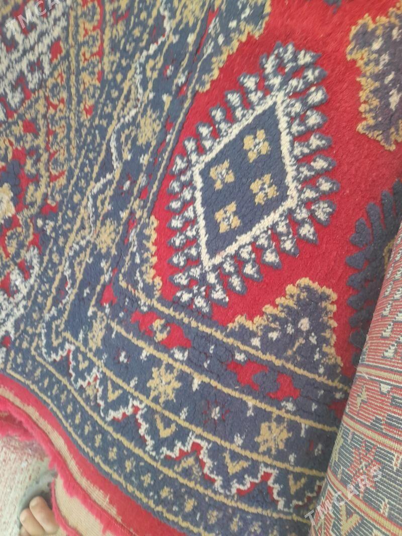 Haly - Büzmeýin - img 3