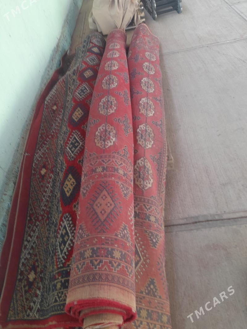 Haly - Büzmeýin - img 4