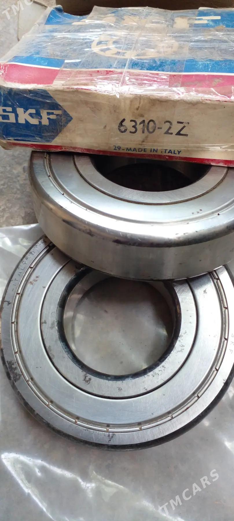 podcipnik - Aşgabat - img 2