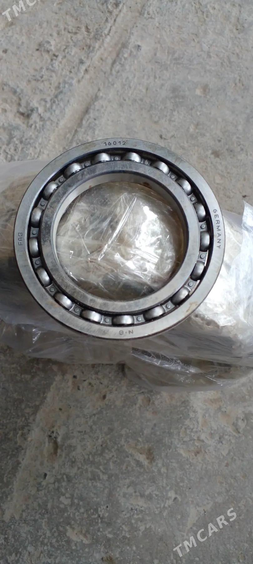 podcipnik - Aşgabat - img 3