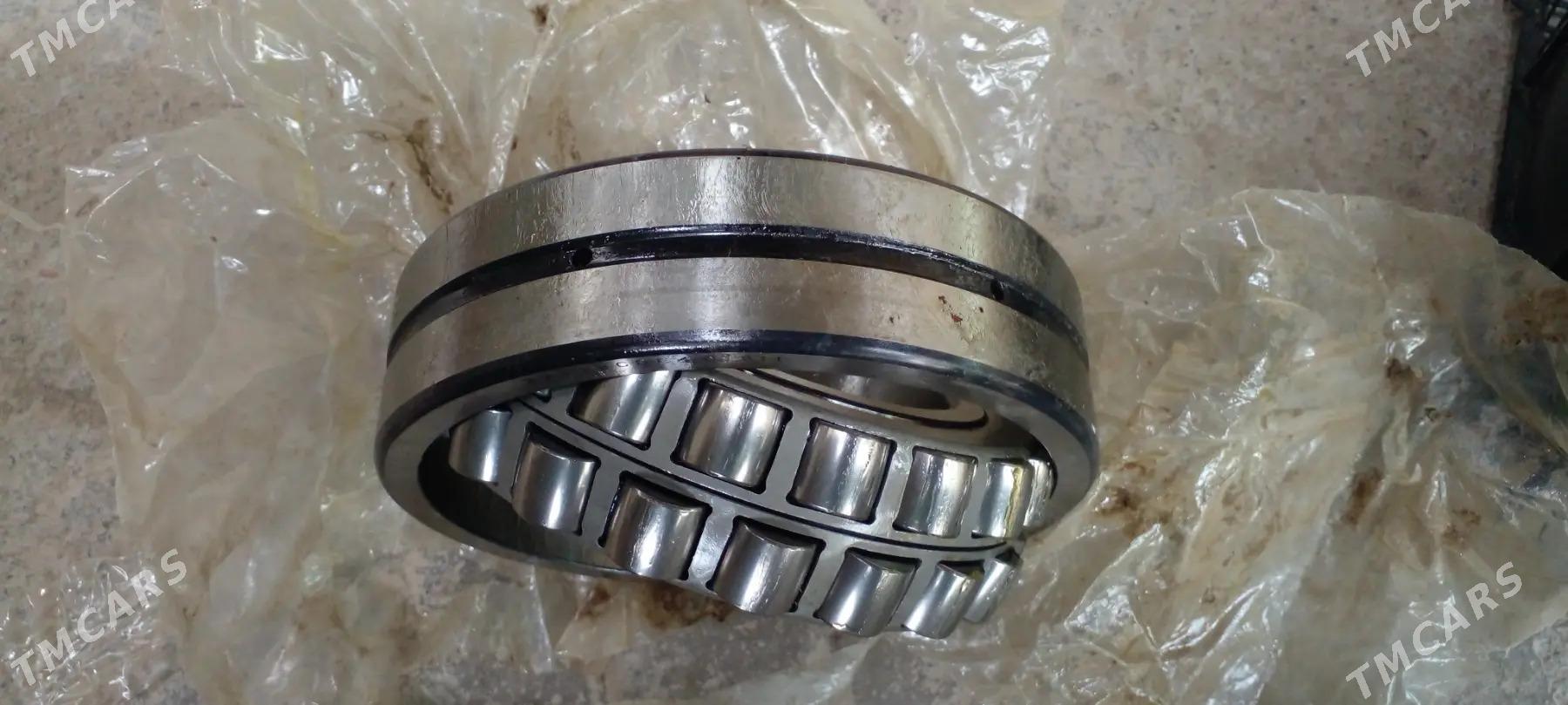 podcipnik - Aşgabat - img 1