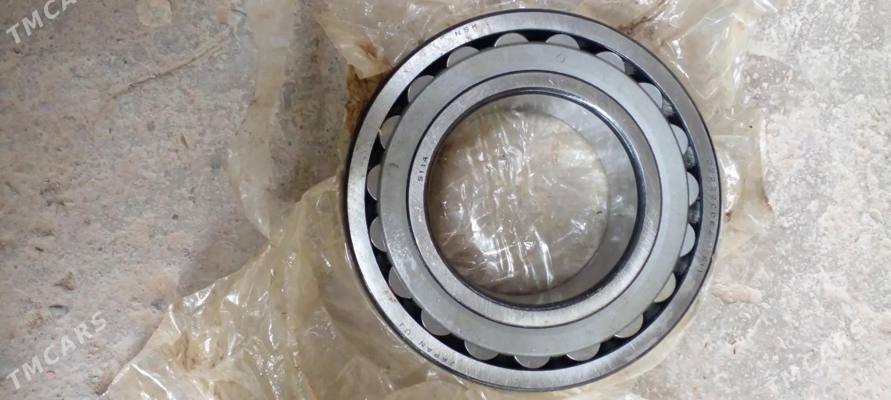 podcipnik - Aşgabat - img 4