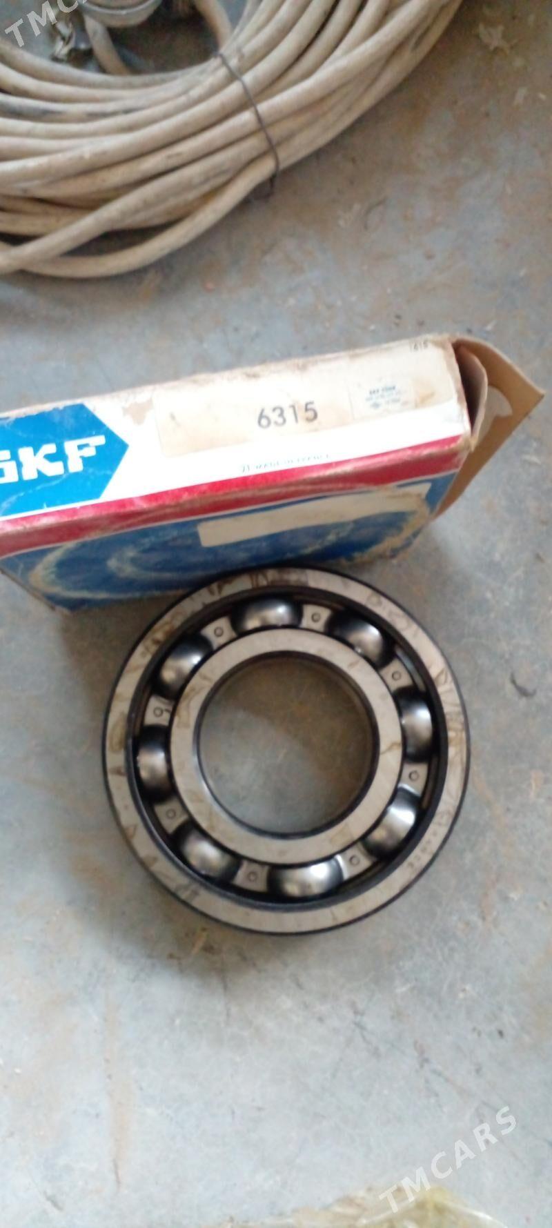 podcipnik - Aşgabat - img 6