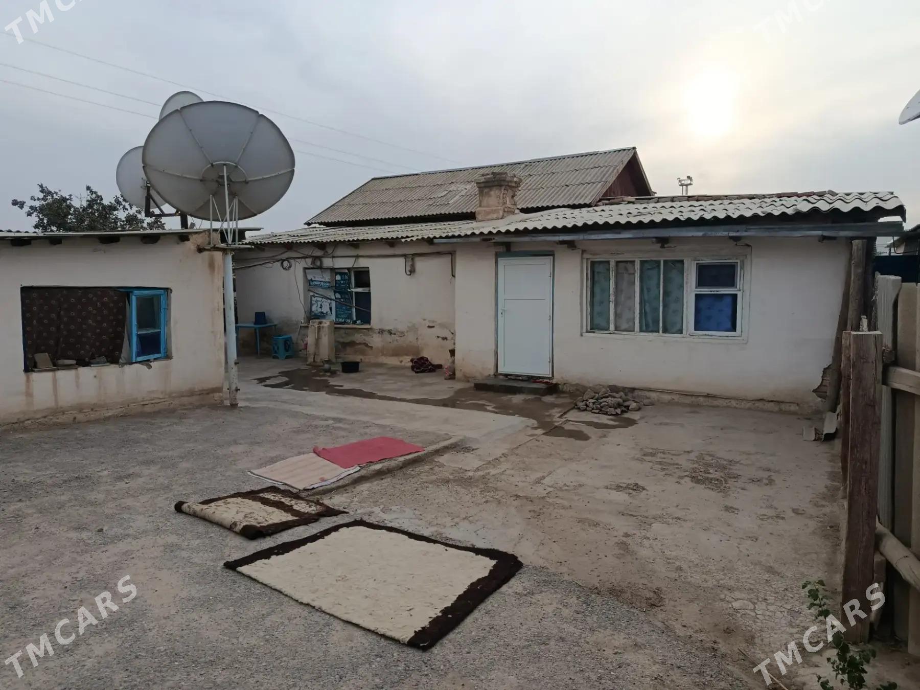 satlyk jay - Кака - img 1