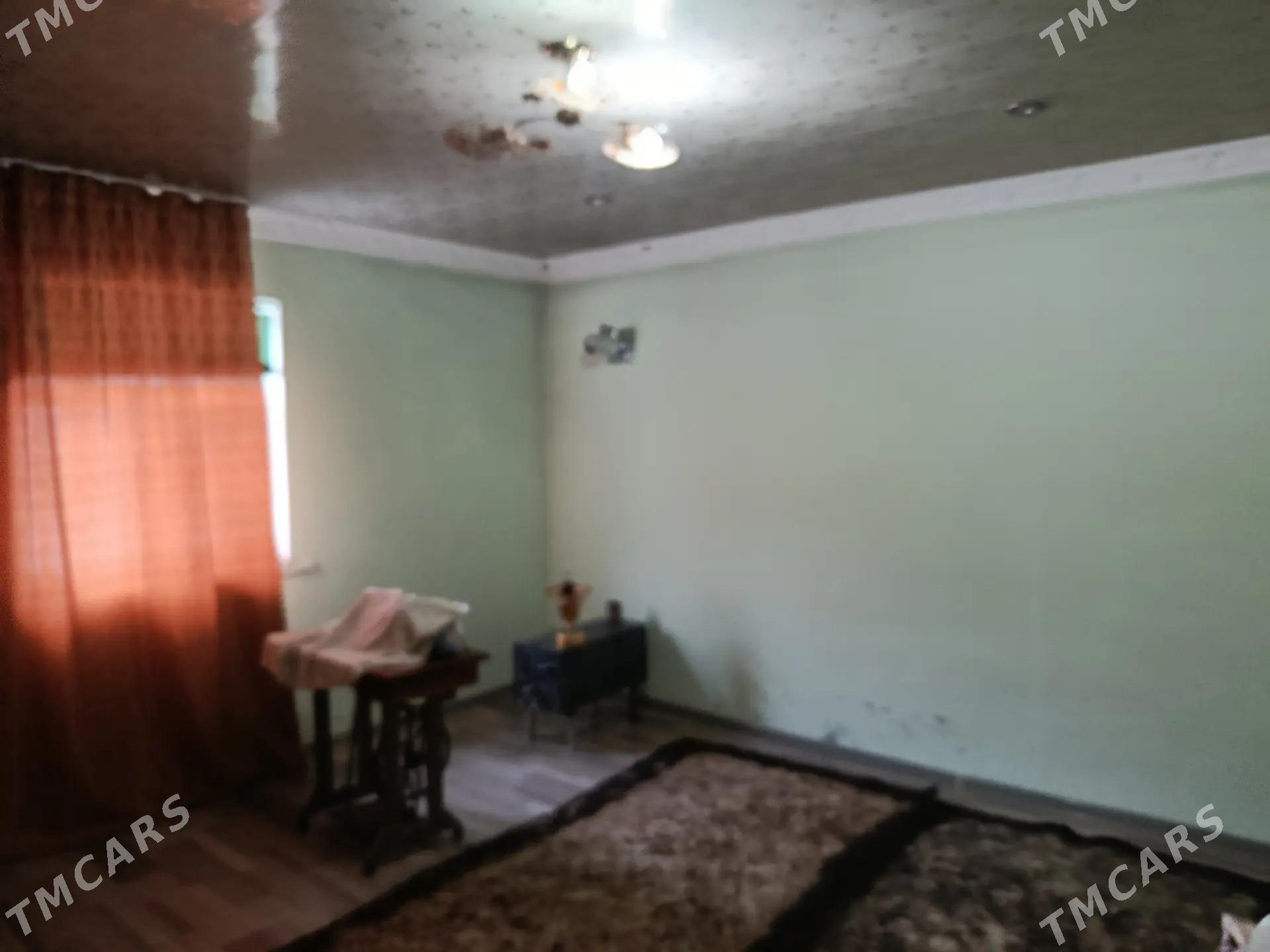 satlyk jay - Кака - img 4