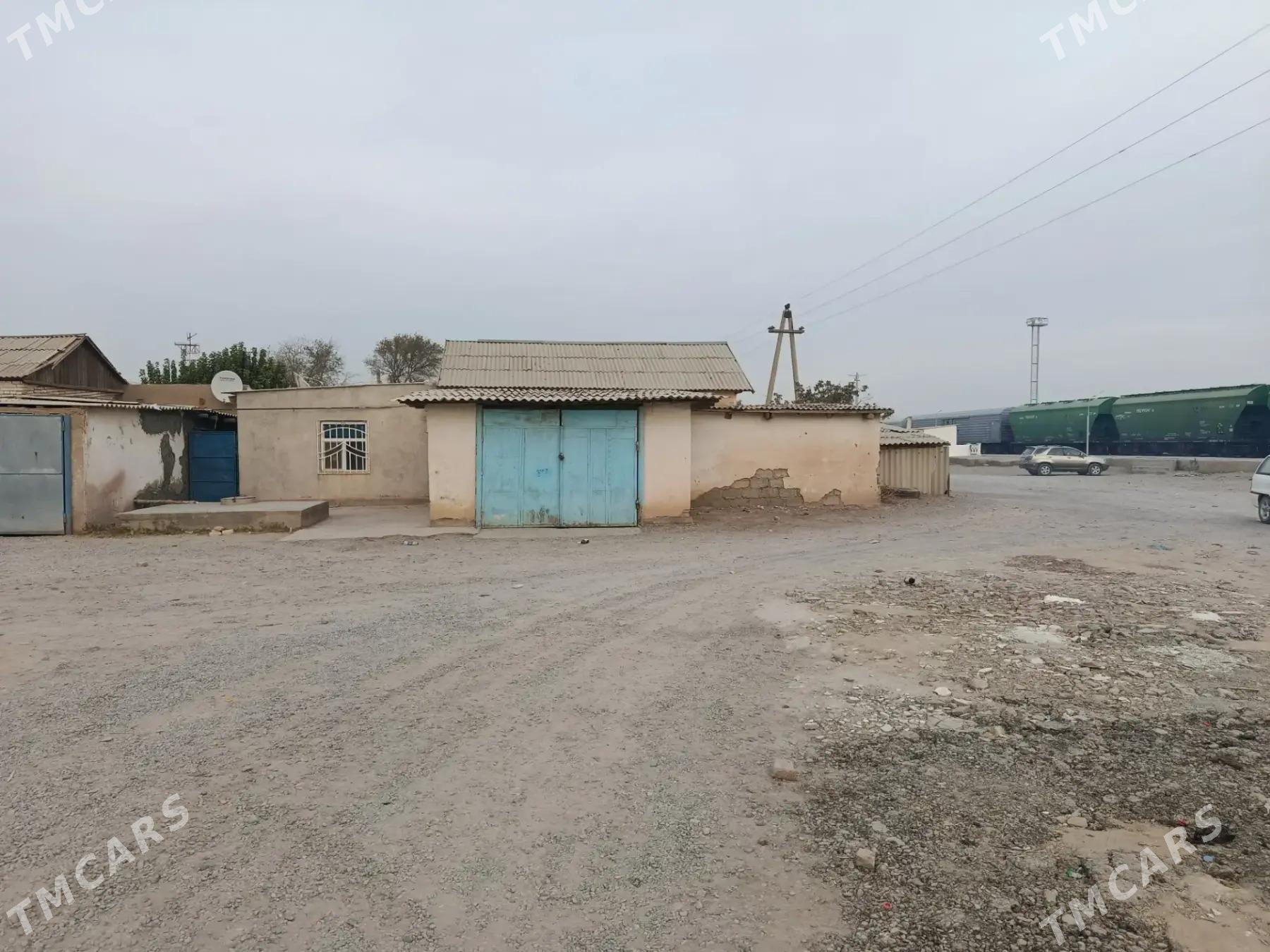 satlyk jay - Кака - img 5