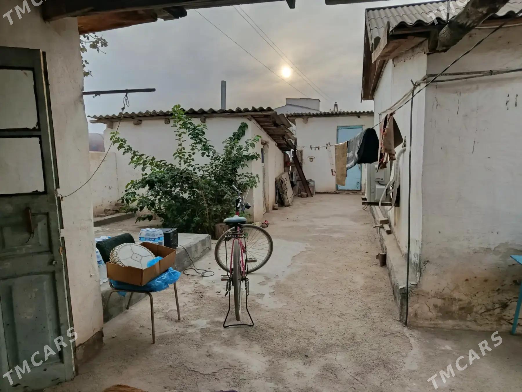 satlyk jay - Кака - img 2