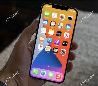 iPhone 12 Pro Max - Mary - img 1