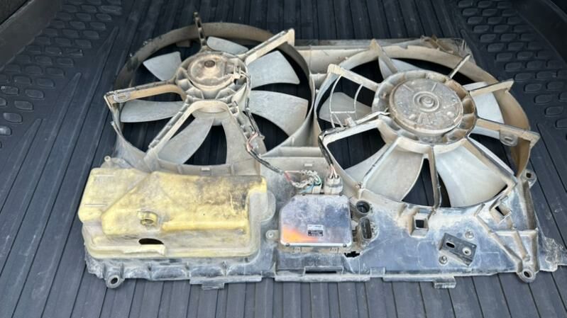 okuz kelle 2.4 140 TMT - Aşgabat - img 2