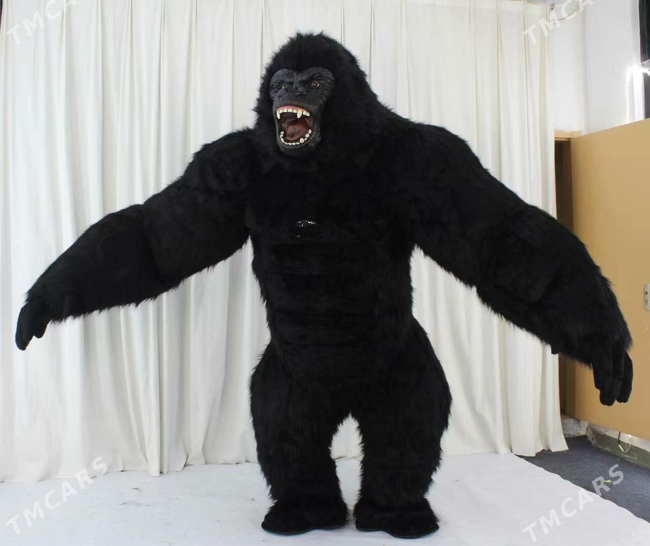 Miska - Ашхабад - img 2