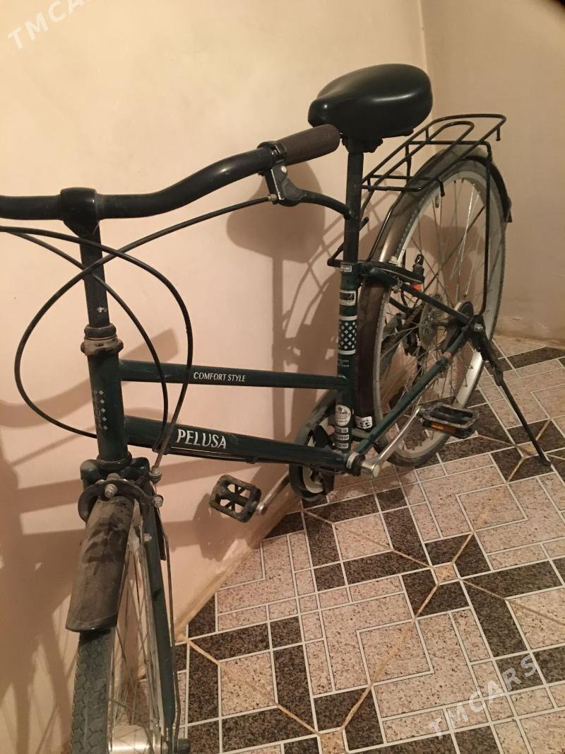 Welsapet 7 skor - Mary - img 2