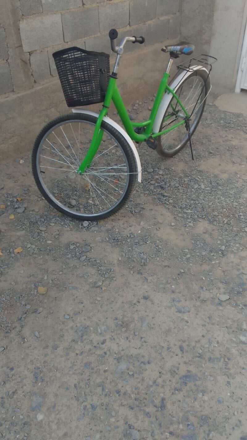 tigir - Гёкдепе - img 4