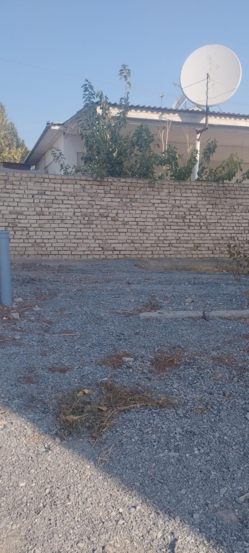 kerpic orumci gerek - Ak bugdaý etraby - img 1