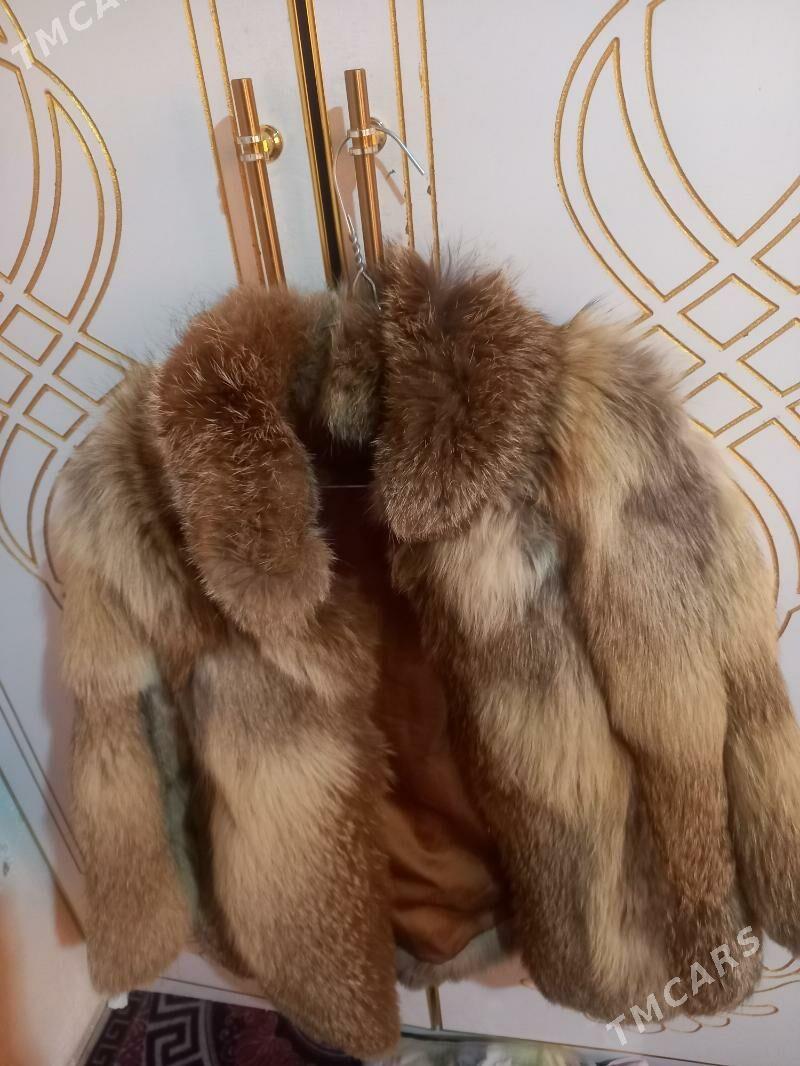 suba - Akdepe - img 1