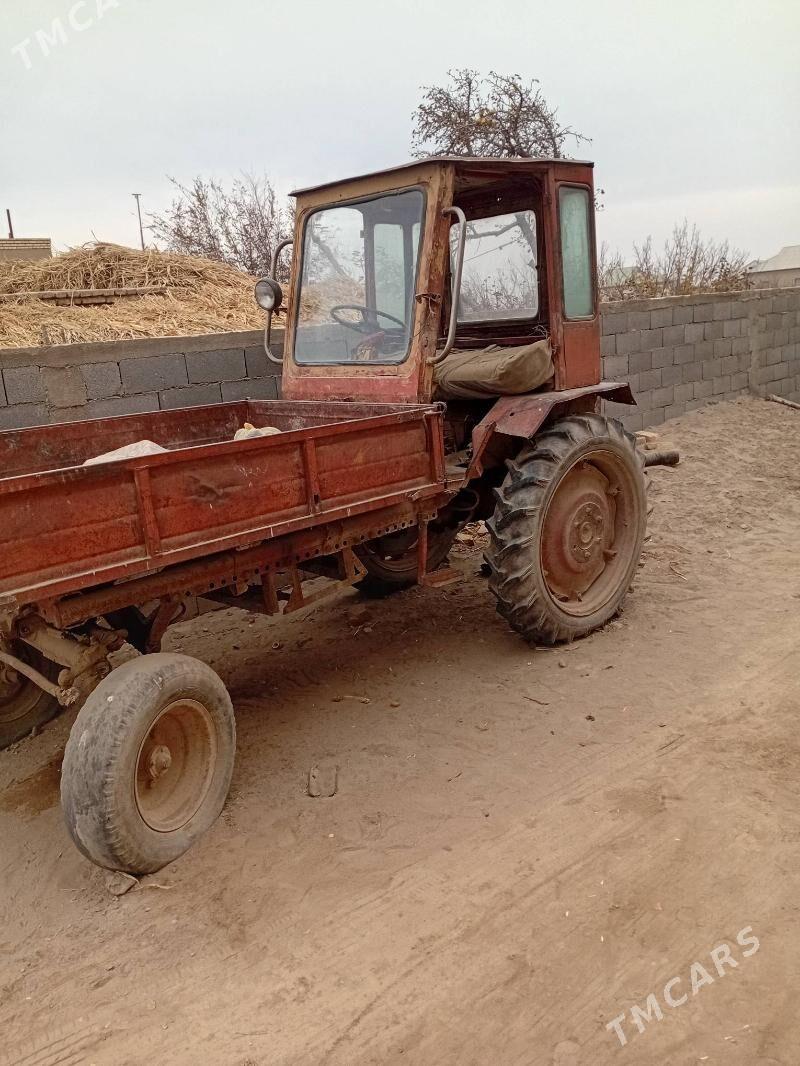 MTZ T-28 1989 - 13 000 TMT - Гурбансолтан Едже - img 2