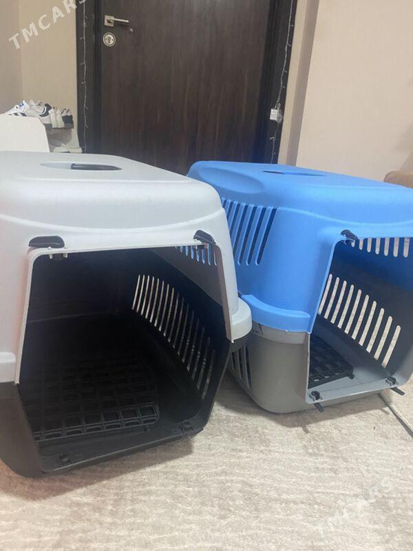 Переноски - Туркменбаши - img 2