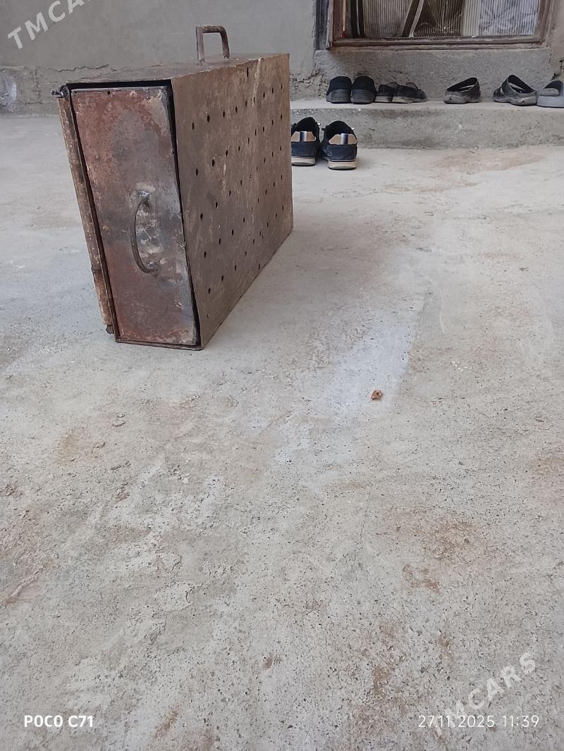 mangal - Ak bugdaý etraby - img 5