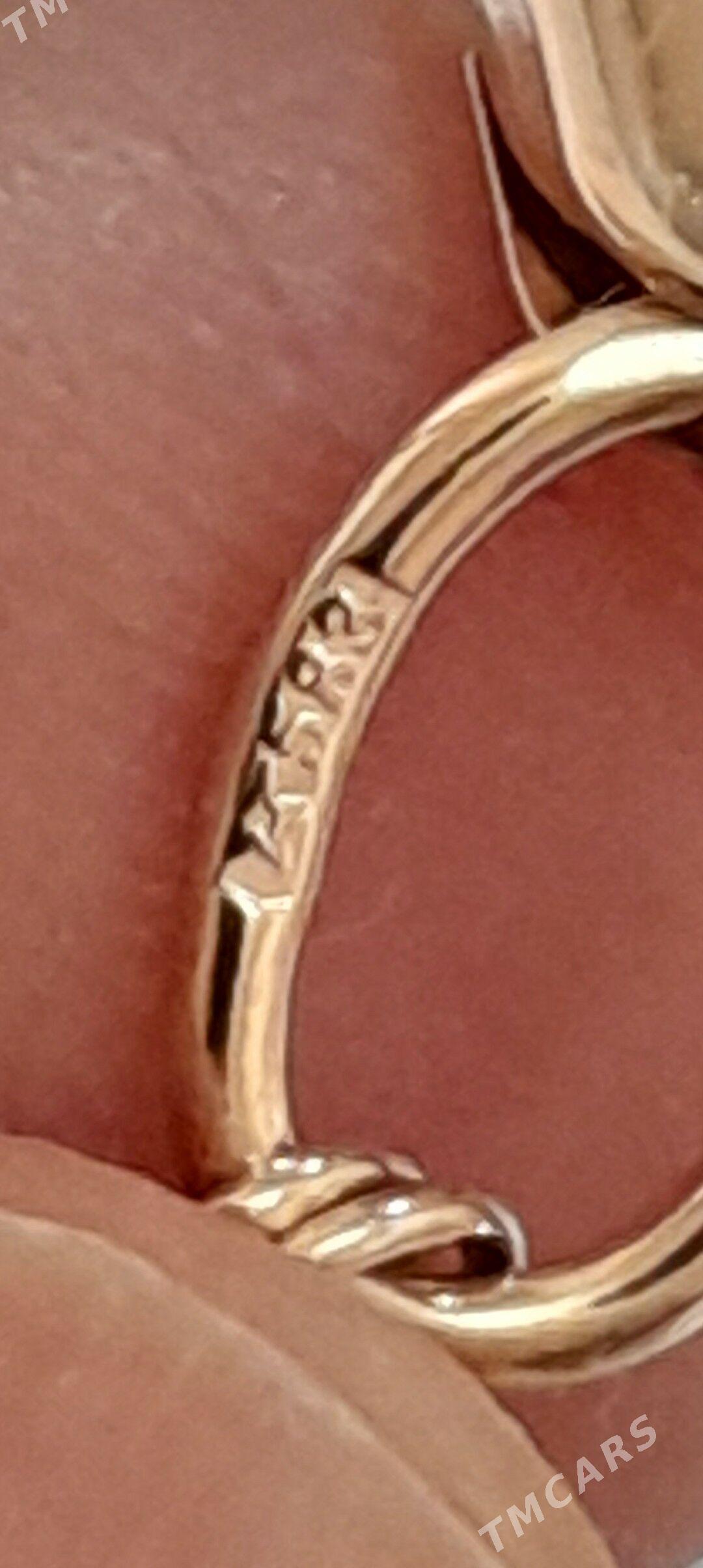 gyzyl kardinal 20lik - Ашхабад - img 1