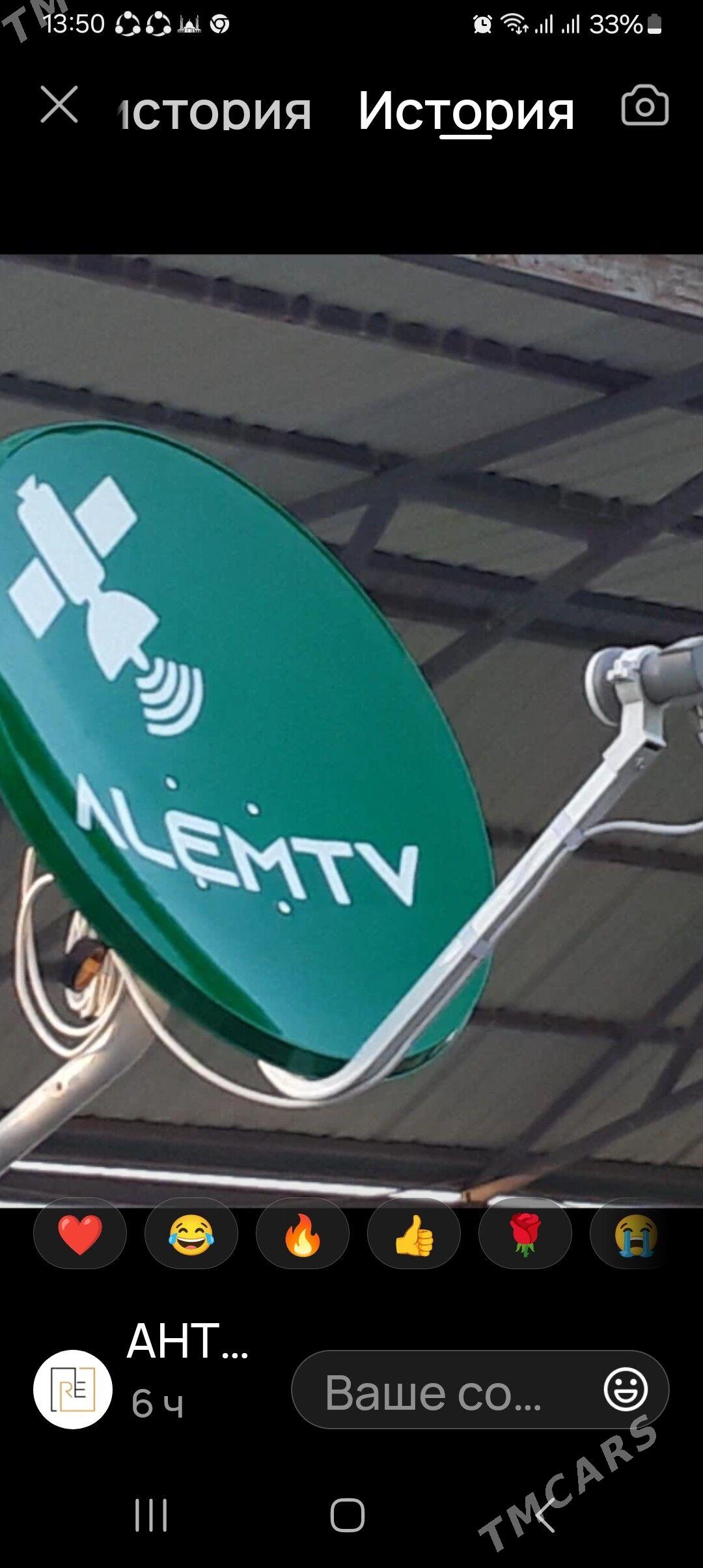 антен - Mary - img 1