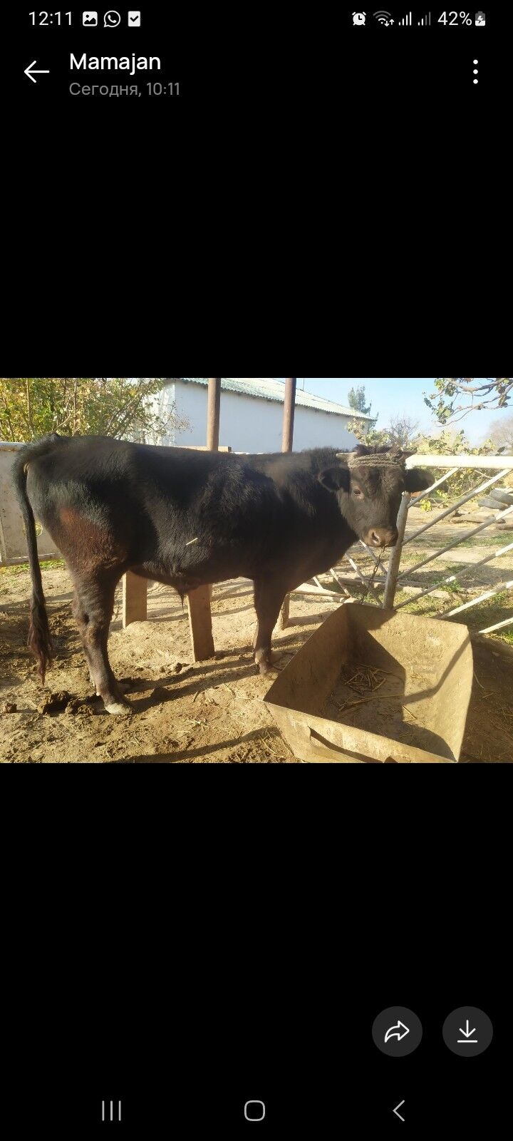 OKUZ - Aşgabat - img 2