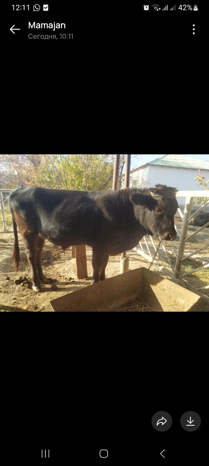 OKUZ - Aşgabat - img 3